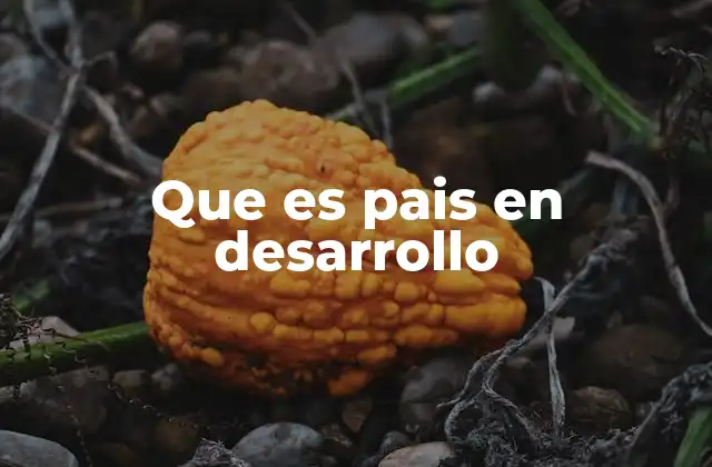 Que es Pais en Desarrollo