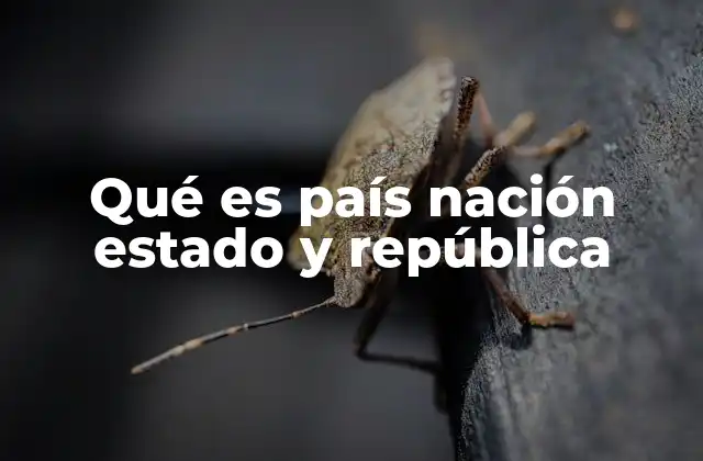 Qué es País Nación Estado y República