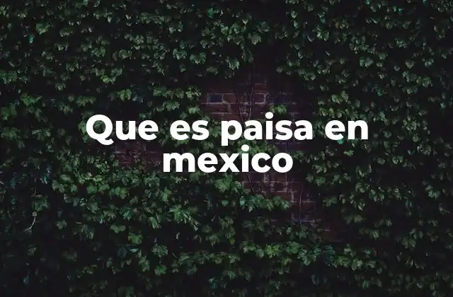Que es Paisa en Mexico