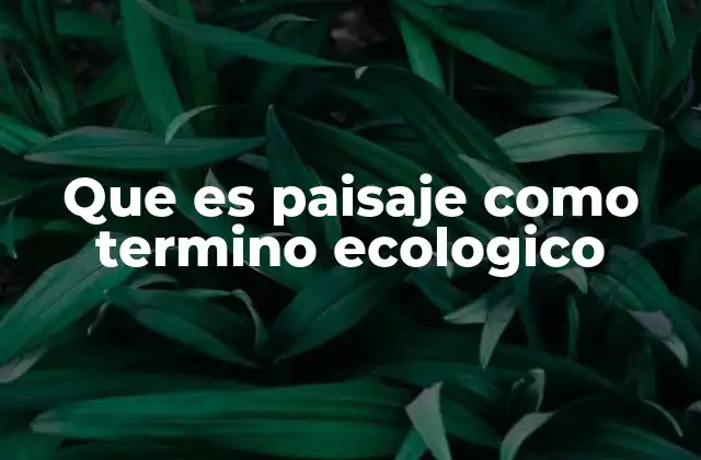 Que es Paisaje como Termino Ecologico