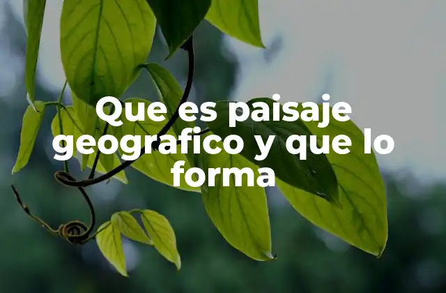 Que es Paisaje Geografico y que Lo Forma
