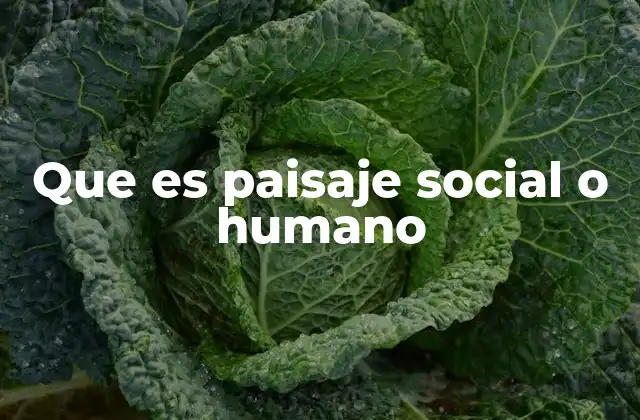 Que es Paisaje Social o Humano