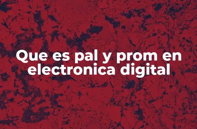 Que es Pal y Prom en Electronica Digital