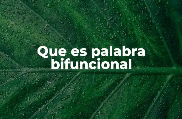Que es Palabra Bifuncional