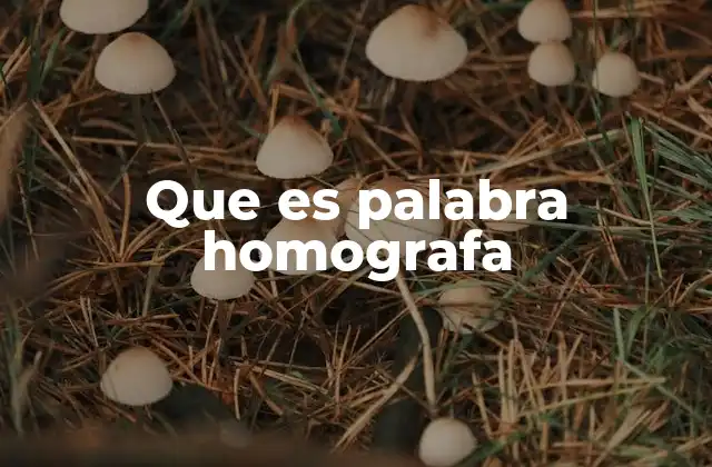 Que es Palabra Homografa