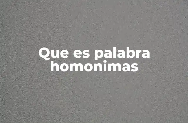 Que es Palabra Homonimas