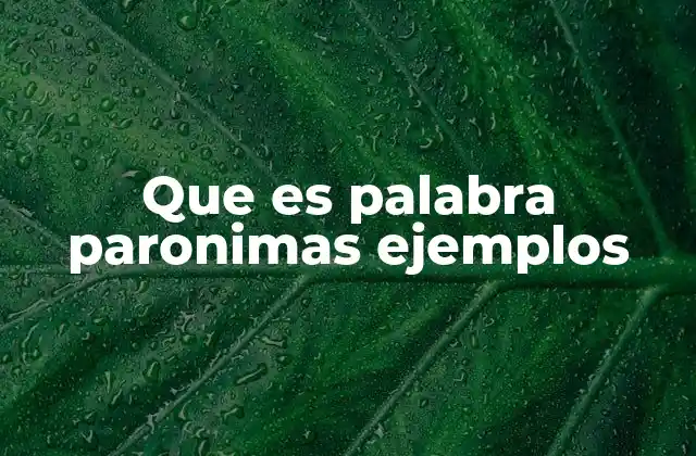 Que es Palabra Paronimas Ejemplos