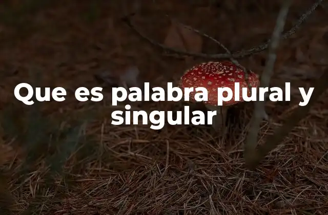 Que es Palabra Plural y Singular