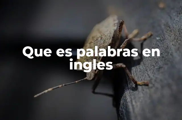 Cómo las palabras en inglés forman la base del lenguaje