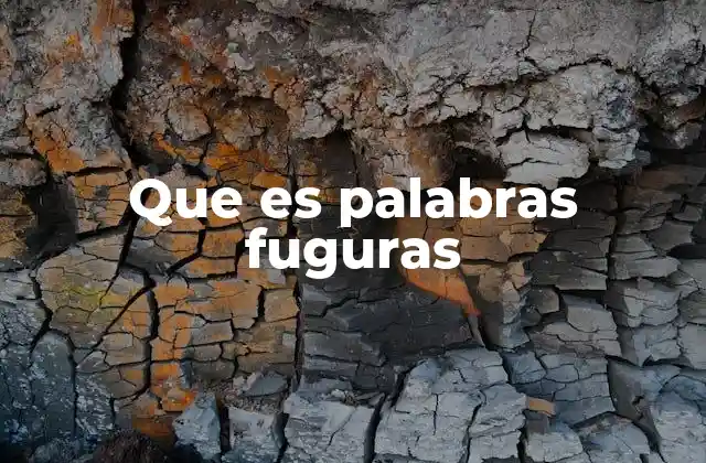 Que es Palabras Fuguras