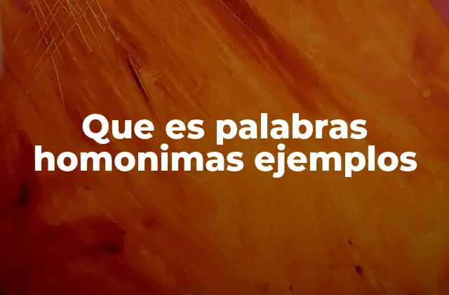 Que es Palabras Homonimas Ejemplos
