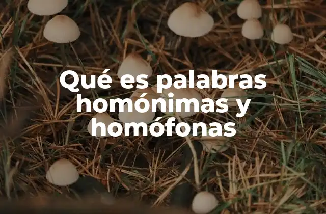 Qué es Palabras Homónimas y Homófonas