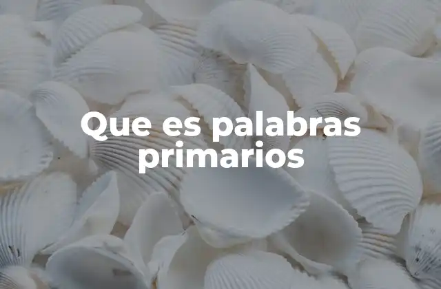 Que es Palabras Primarios