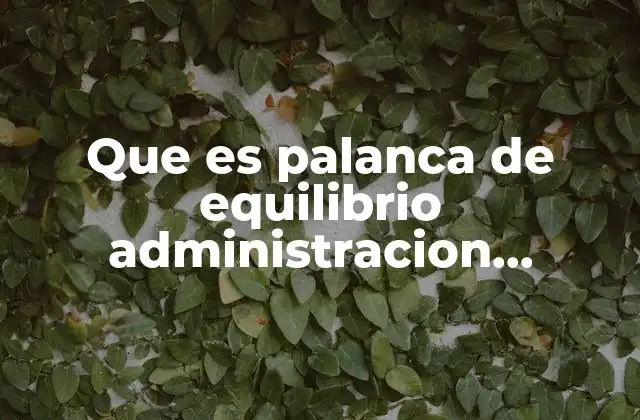 Que es Palanca de Equilibrio Administracion Financiera I