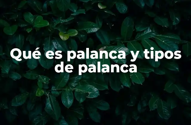 Qué es Palanca y Tipos de Palanca