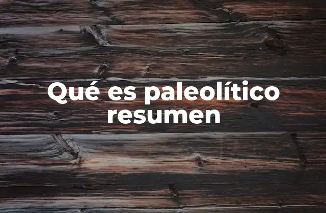 Qué es Paleolítico Resumen