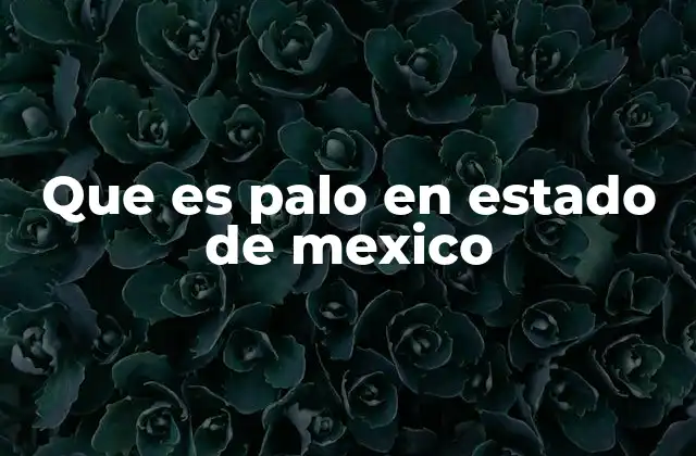 Que es Palo en Estado de Mexico