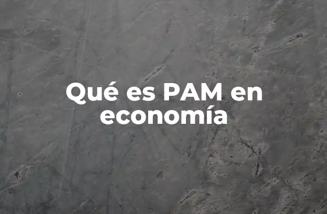 Qué es Pam en Economía