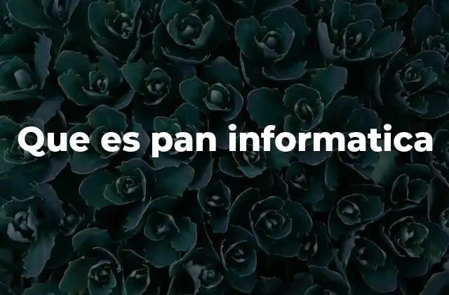 Que es Pan Informatica
