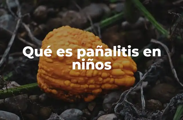 Qué es Pañalitis en Niños