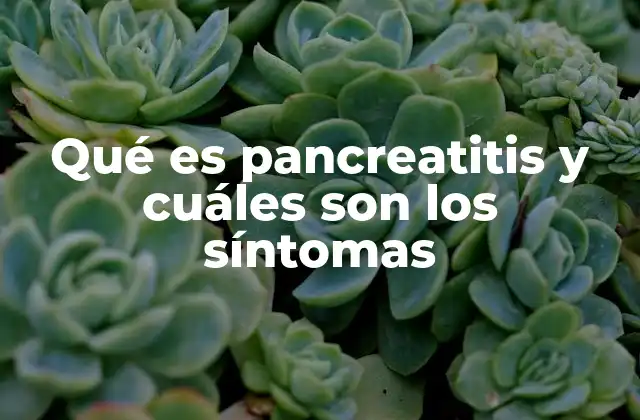 Qué es Pancreatitis y Cuáles Son los Síntomas
