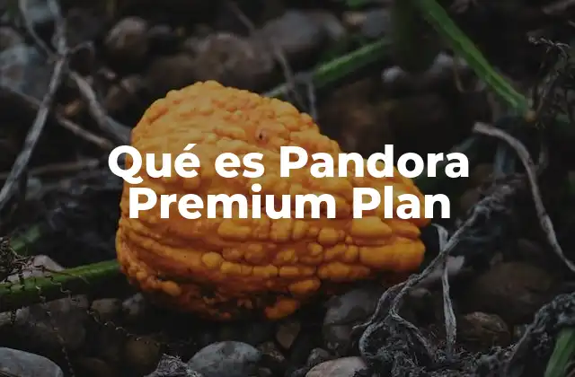 Qué es Pandora Premium Plan