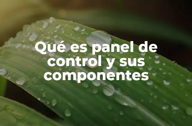 Qué es Panel de Control y Sus Componentes