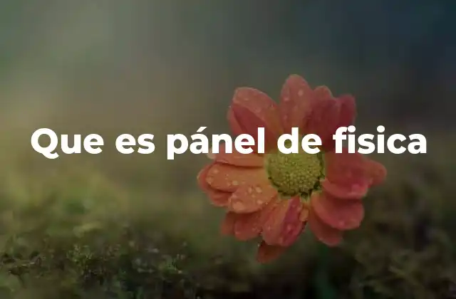 Que es Pánel de Fisica