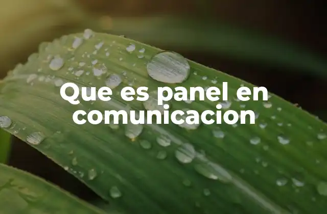 Paneles como herramientas de difusión y análisis