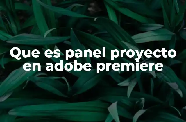 Que es Panel Proyecto en Adobe Premiere 2 El corazón de la organización en un proyecto de edición de video