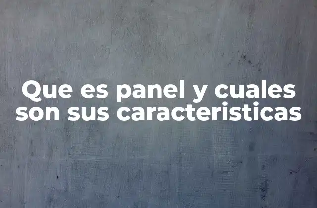 Que es Panel y Cuales Son Sus Caracteristicas