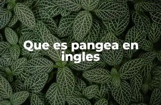 Que es Pangea en Ingles