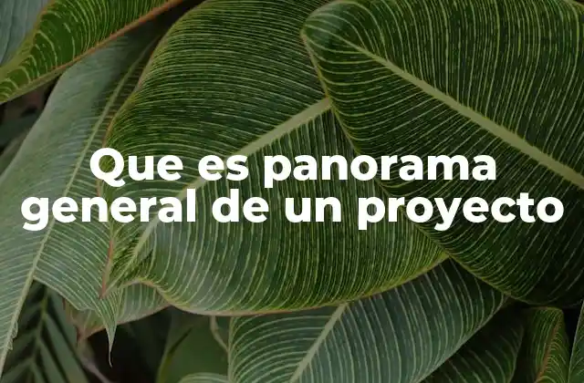 Que es Panorama General de un Proyecto 2 La importancia de tener una visión clara en la gestión de proyectos