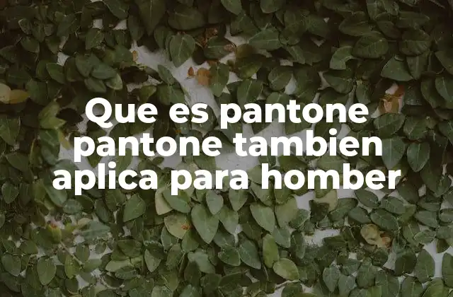 Que es Pantone Pantone Tambien Aplica para Homber