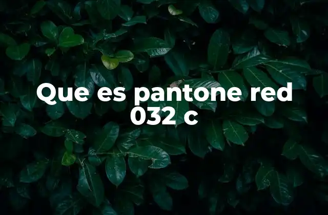 Que es Pantone Red 032 C