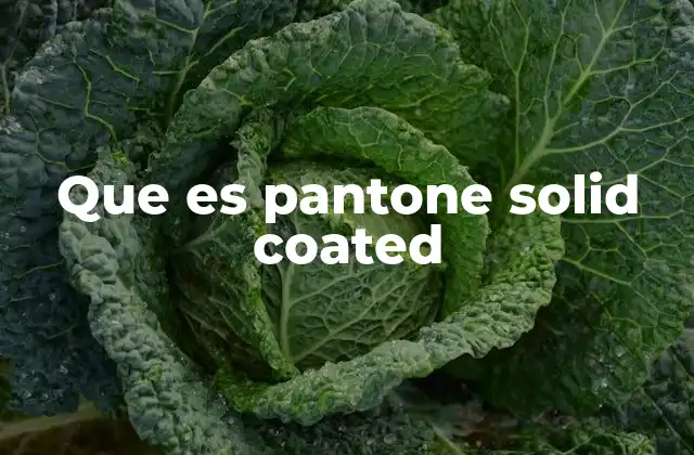 Que es Pantone Solid Coated