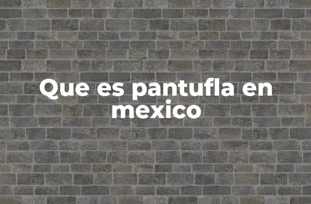 Que es Pantufla en Mexico