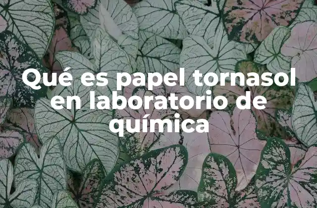El papel tornasol y su importancia en la química analítica