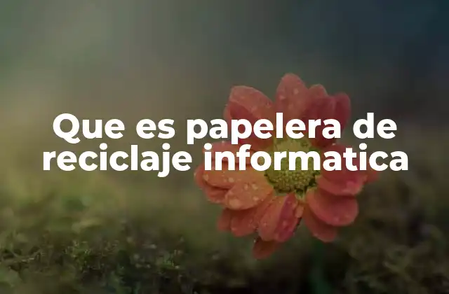 Que es Papelera de Reciclaje Informatica