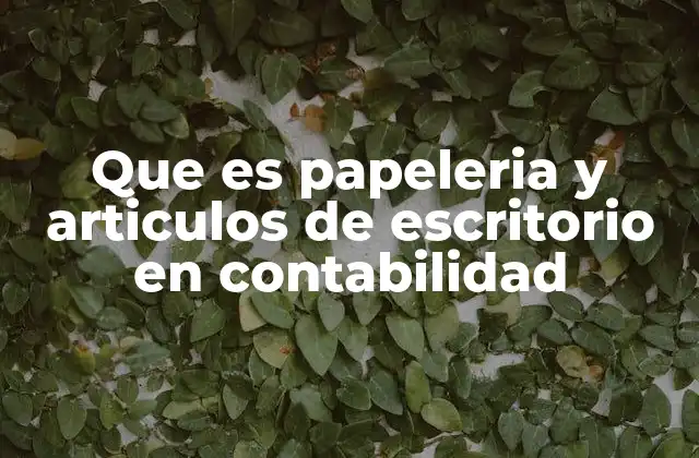 Que es Papeleria y Articulos de Escritorio en Contabilidad