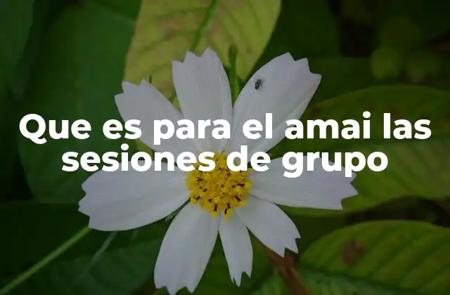 El poder transformador de las sesiones grupales en contextos de bienestar emocional