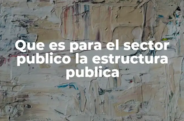 Que es para el Sector Publico la Estructura Publica