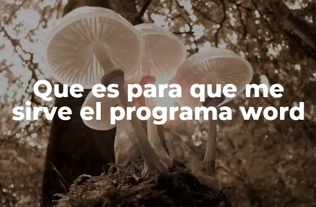 Que es para que Me Sirve el Programa Word