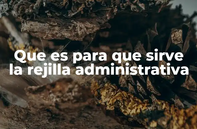 Cómo la rejilla administrativa impacta en la gestión organizacional