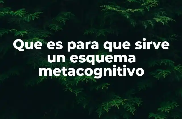 Que es para que Sirve un Esquema Metacognitivo