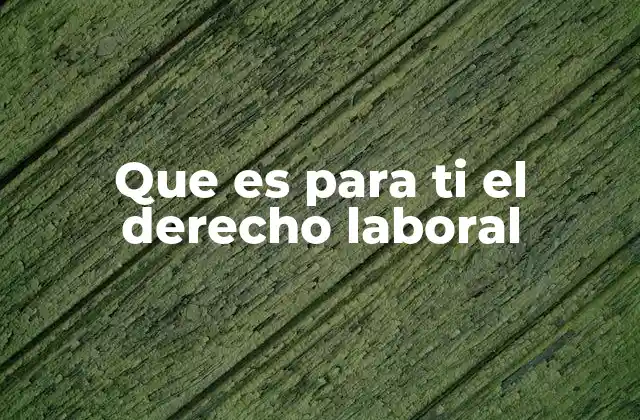 Que es para Ti el Derecho Laboral