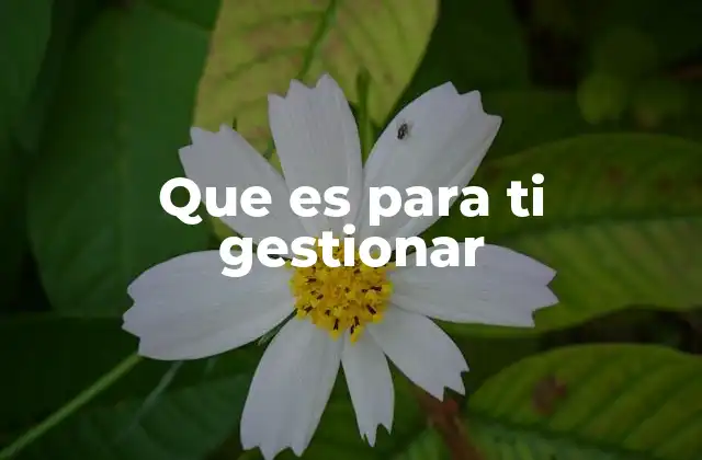 Que es para Ti Gestionar