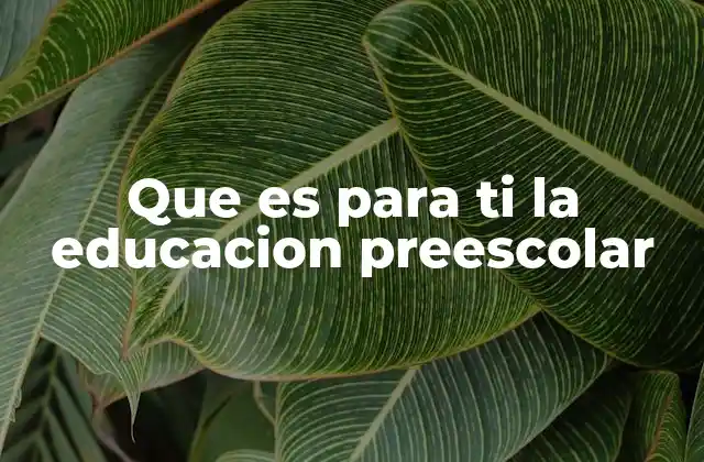 Que es para Ti la Educacion Preescolar