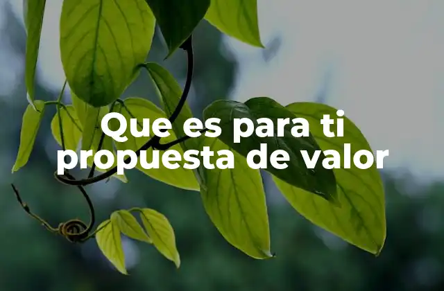 Que es para Ti Propuesta de Valor