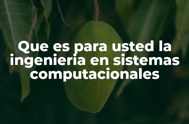 Que es para Usted la Ingenieria en Sistemas Computacionales